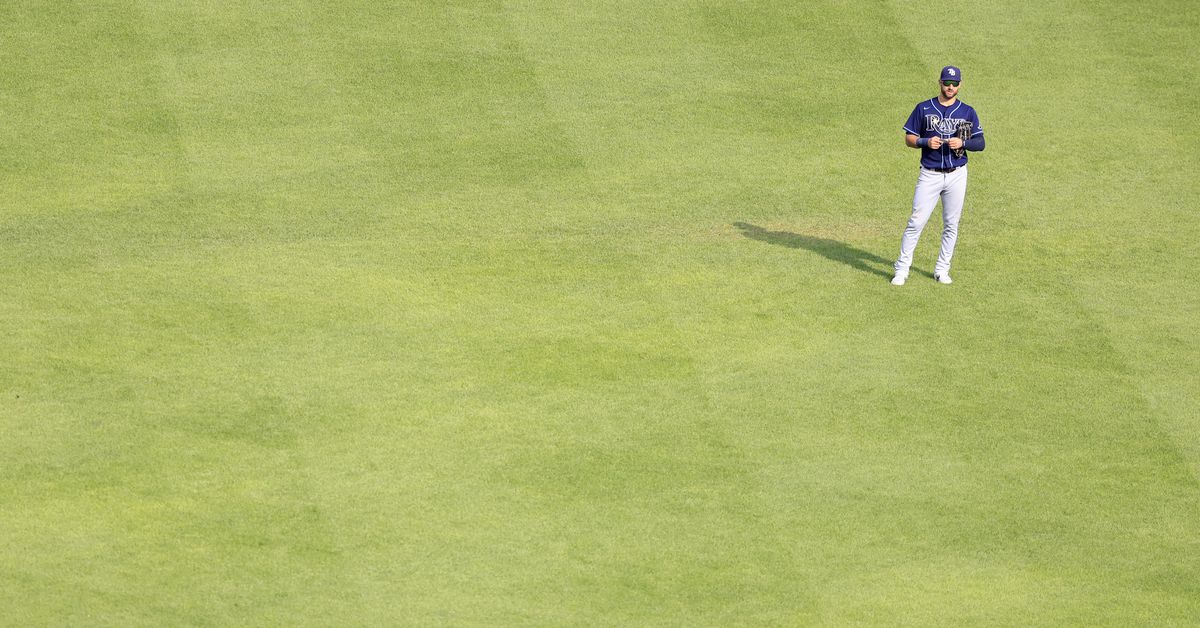 Appreciating Kevin Kiermaier - DRaysBay