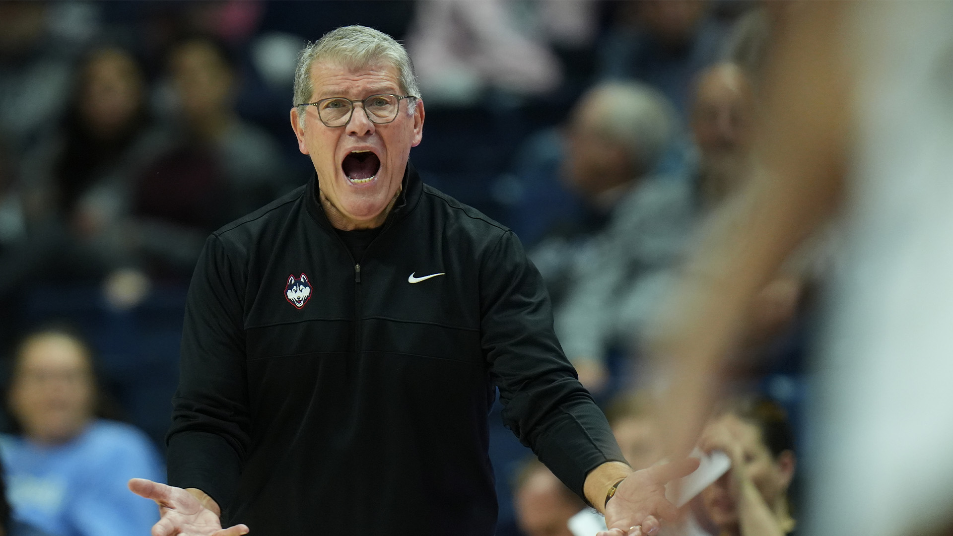 geno auriemma