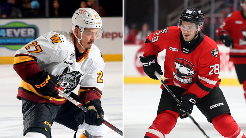 Checkers acquire Vande Sompel from Wolves