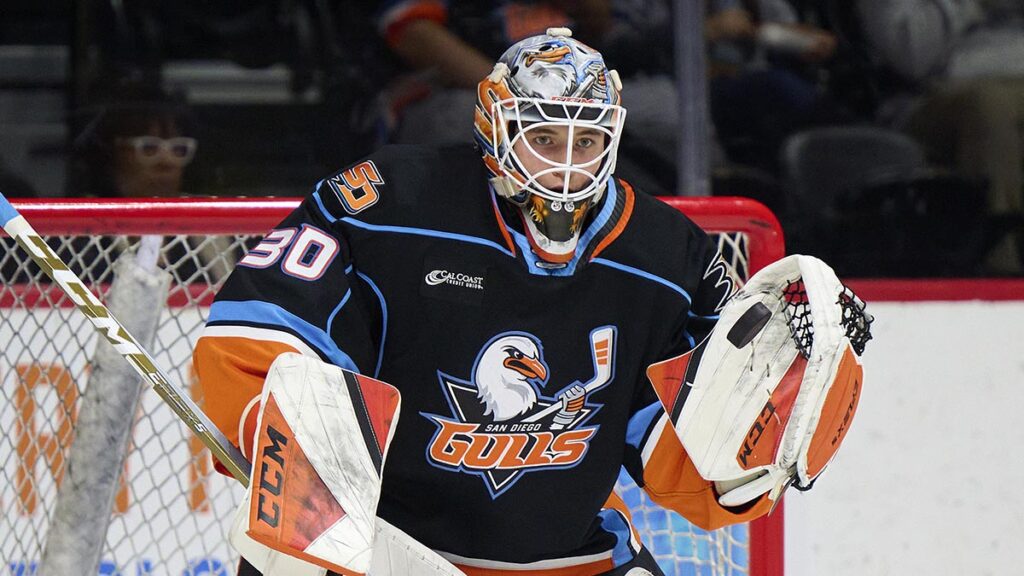 Ducks sign Suchanek to entry-level deal