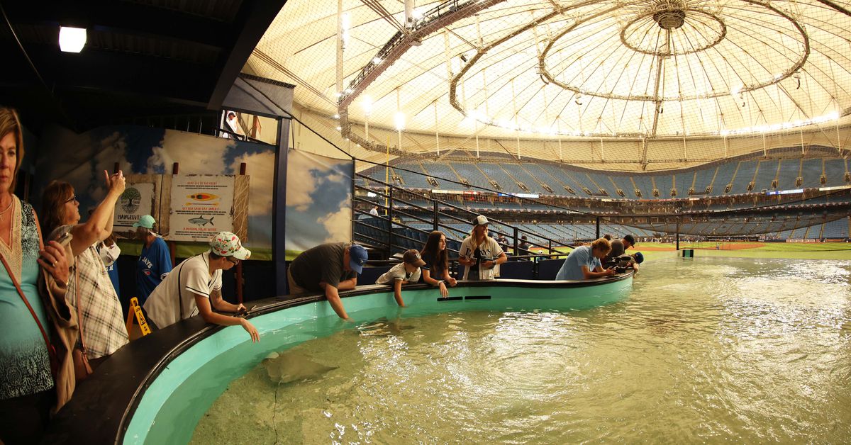 GDT: Opening Day! - DRaysBay