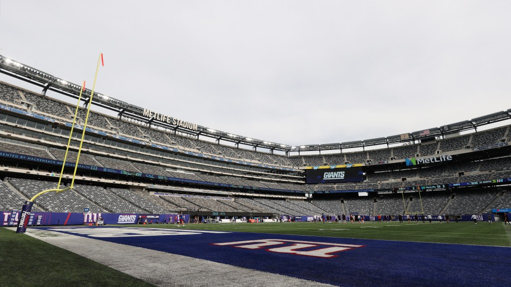 Giants owner not ready to sign off on all-grass surface for MetLife