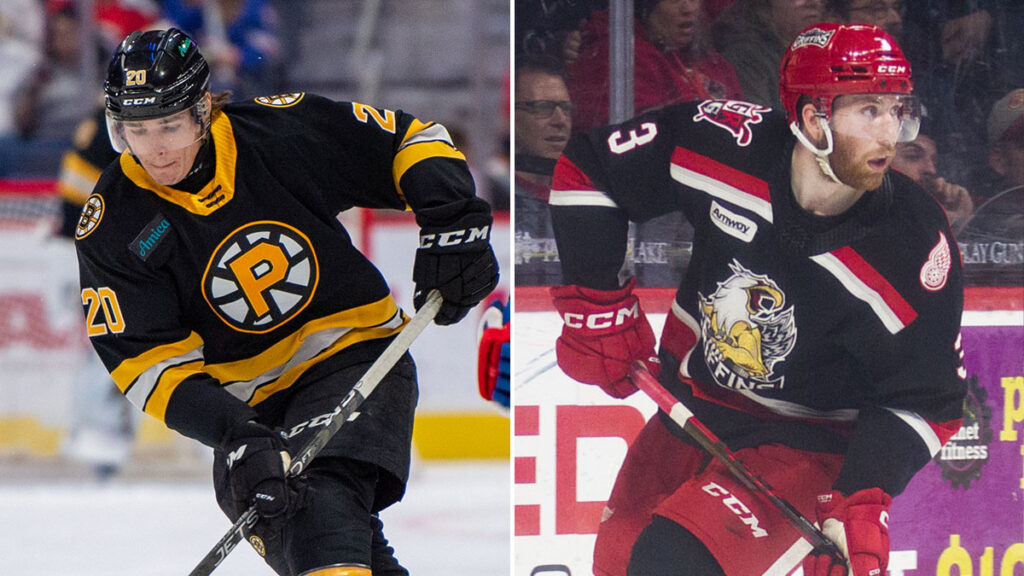 Red Wings, Bruins re-assign forwards