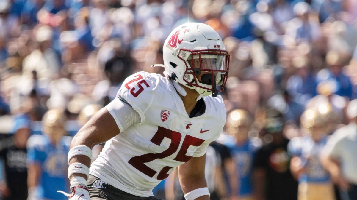 2024 NFL Draft Scouting Report: Washington State S Jaden Hicks | NFL Draft