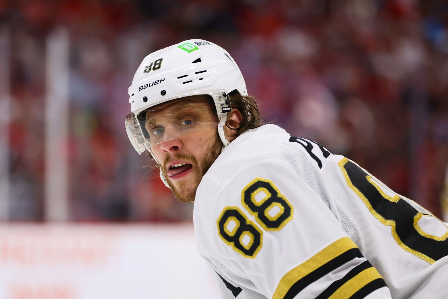 David Pastrnak is Right Czechia Has To be in the 4 Nations Cup