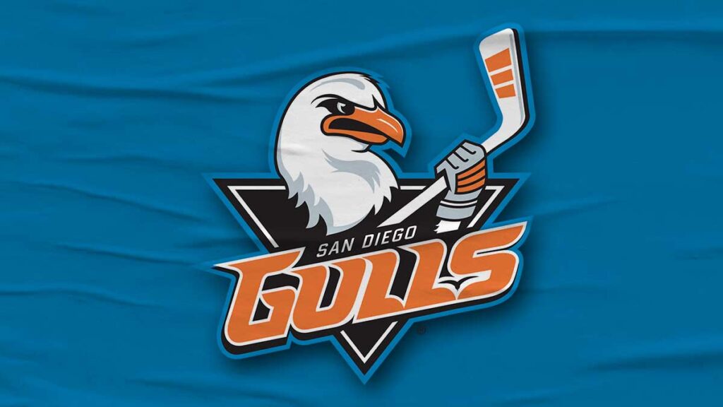 Paterson named Gulls general manager