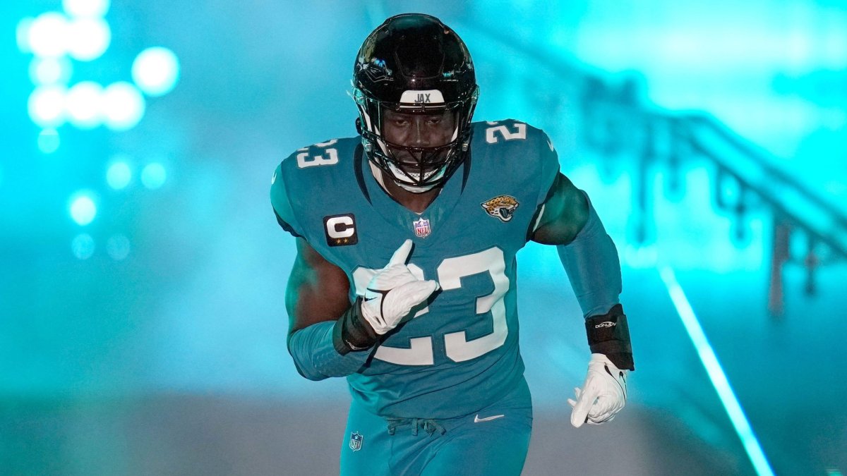Fantasy Football Rankings 2024: IDP linebacker tiers