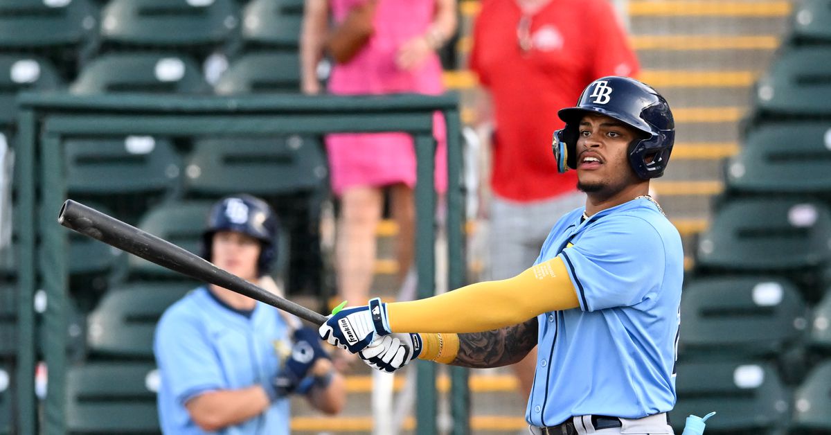 Tampa Bay Rays Minor League Roundup: Week 12