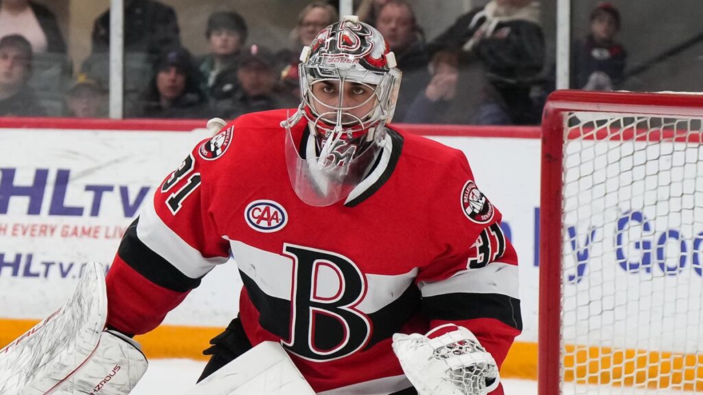 Avalanche acquire rights to Mandolese