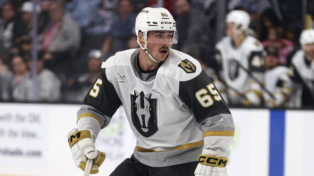 Rocket sign Hayes to AHL contract