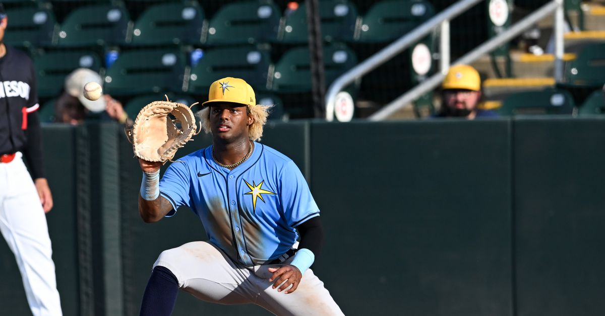 Tampa Bay Rays Minor League Roundup: Week 15
