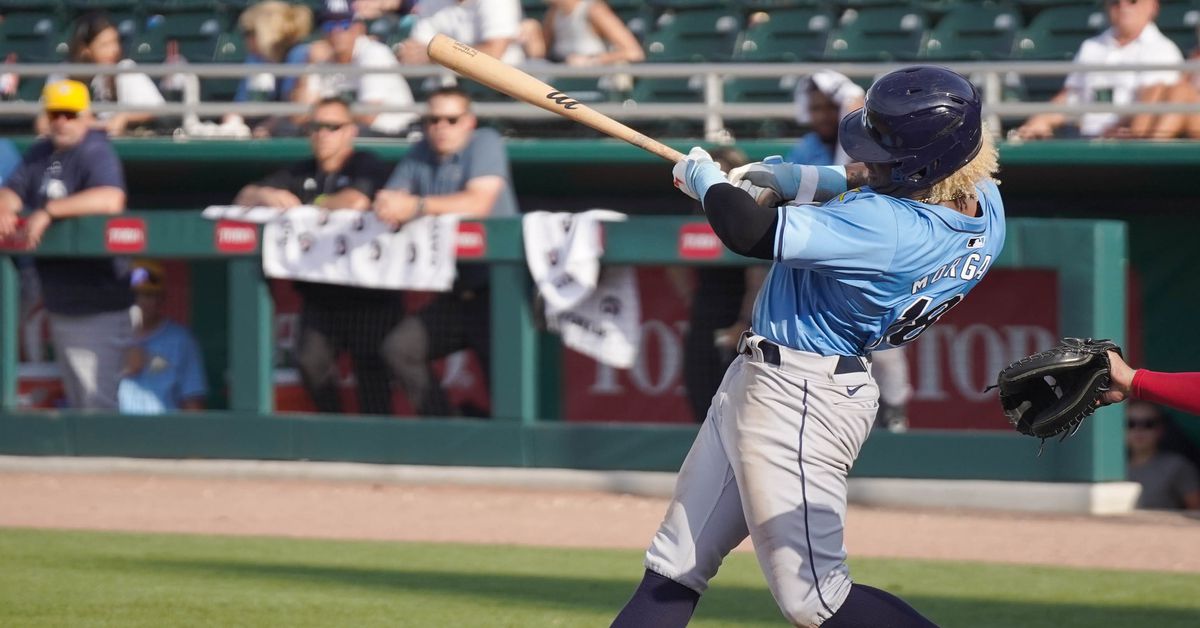 Tampa Bay Rays Minor League Roundup: Week 17