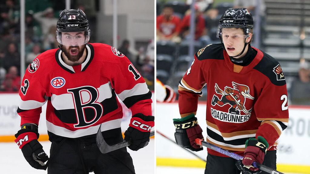 Utah acquires Sokolov, Senators get Jenik