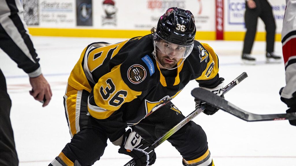 Barracuda sign forward White