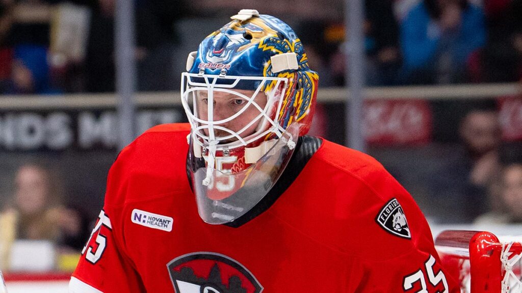 Dallas inks Hellberg to one-year deal