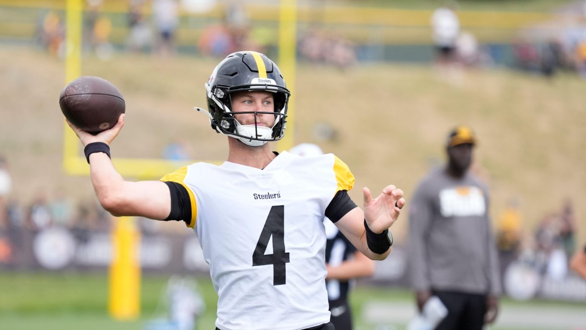 Houston Texans 20, Pittsburgh Steelers 12