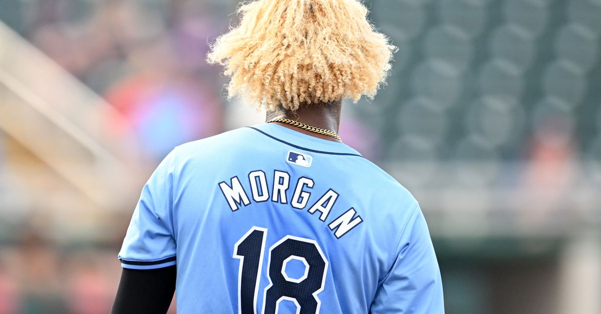 Tampa Bay Rays Minor League Roundup: Week 21