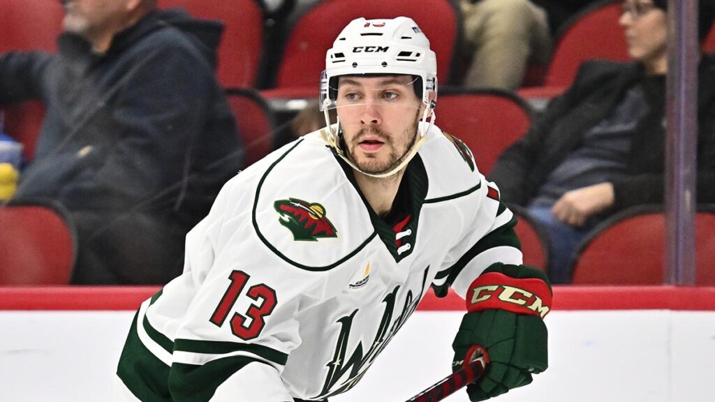 Wolves ink forward Swaney