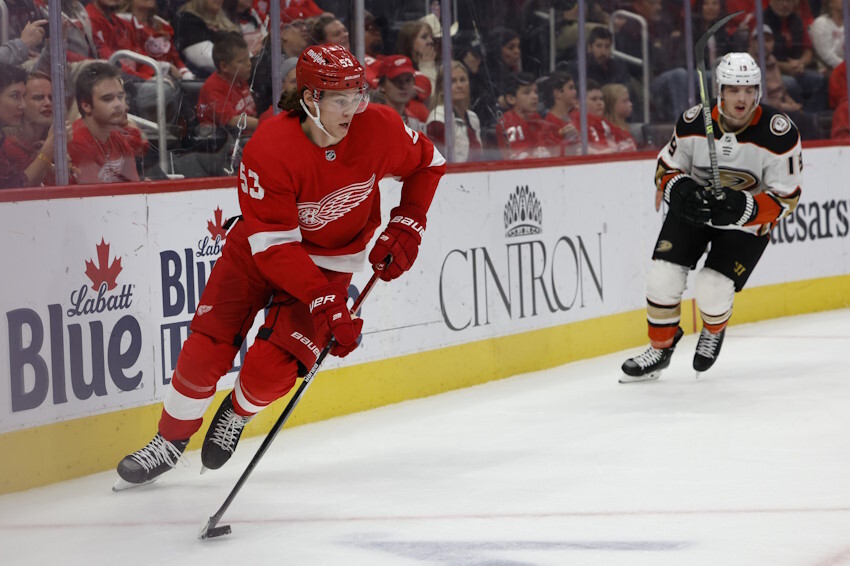 Detroit Red Wings Must Learn From Anaheim's RFA Situation From Last Year