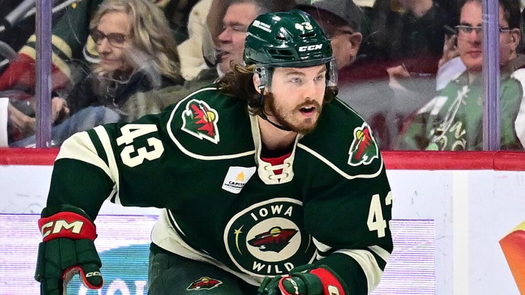 Thunderbirds sign Meireles