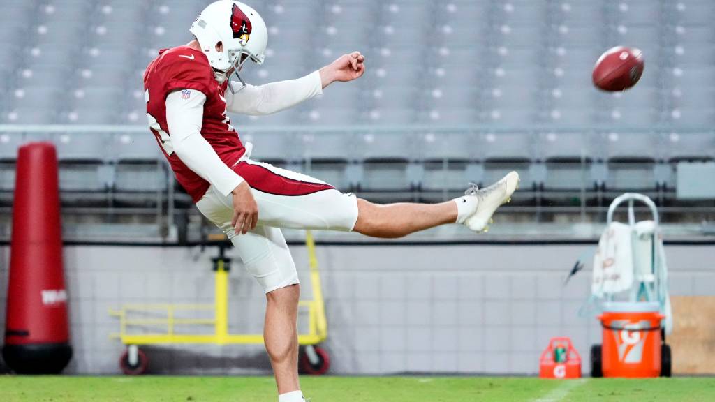 New York Giants work out several punters with Jamie Gillan injured