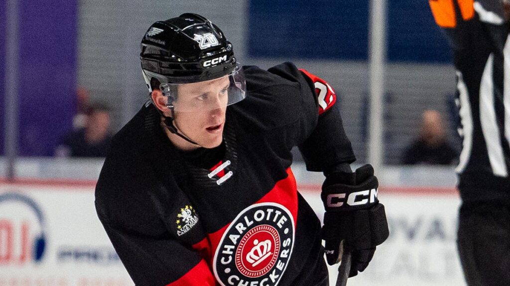 Thunderbirds sign forward Luff