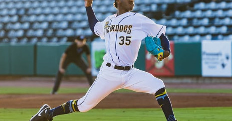 2025 DRaysBay Community Prospect List: Vote for No. 26