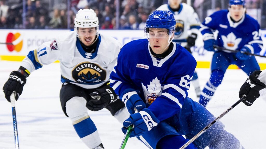 AHL Morning Skate: April 24, 2025