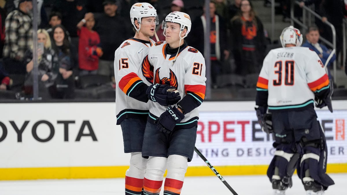 Coachella Valley Firebirds' fans now know what AHL fandom is truly like