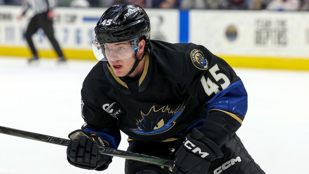 Avalanche acquire Brindley, picks from Columbus