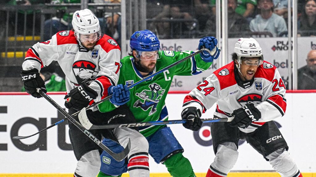 Remainder of Calder Cup Finals to air on NHL Network