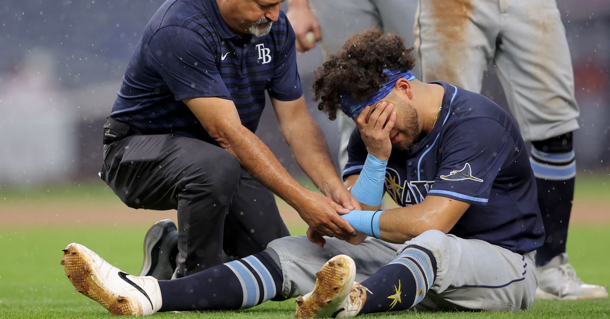 Pain and rain in the Bronx: Yankees 7, Rays 4