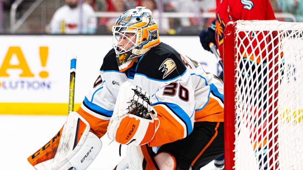 Suchanek ready for return to Gulls crease after lost season