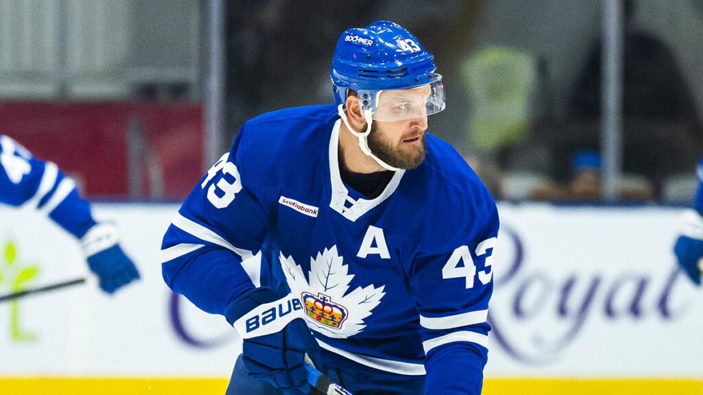 Marlies’ Clifford joins Maple Leafs in player development role