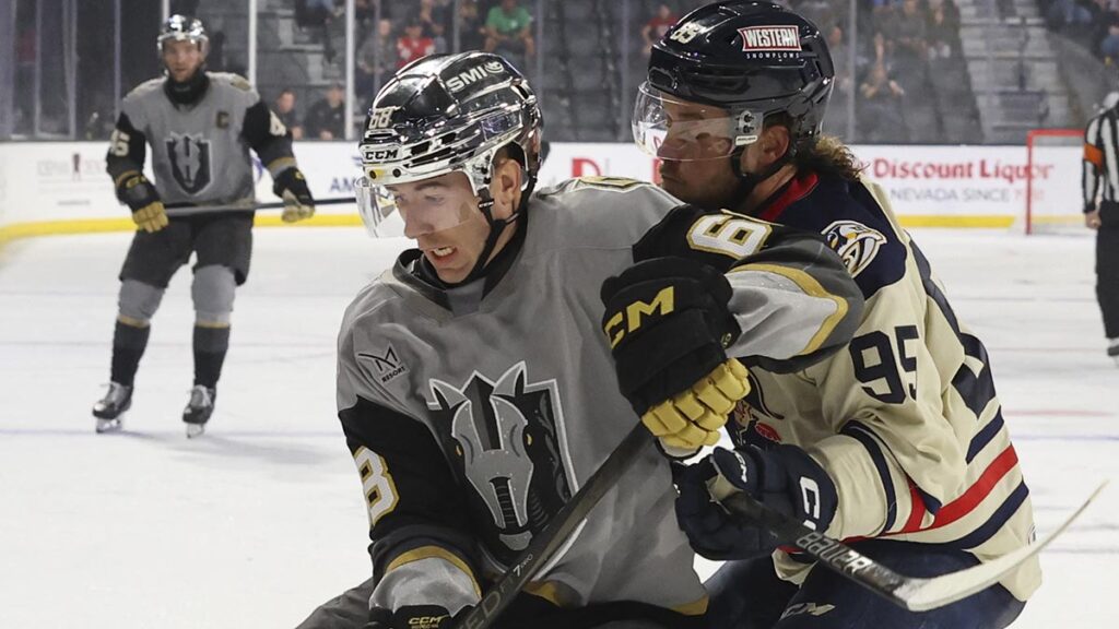 Gulls sign Burke to AHL deal