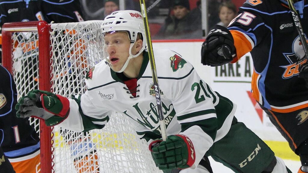 Mayhew returns to Wild