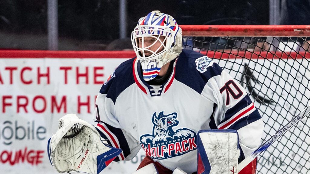 Checkers sign goaltender Domingue