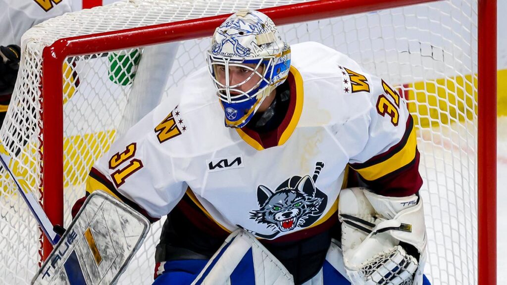 Griffins sign Tokarski to tryout