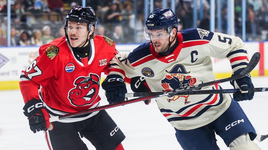 Saturday’s IceHogs-Admirals game moved to Sunday