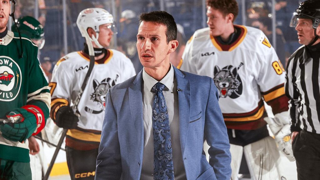 Anastas named interim head coach of Wolves