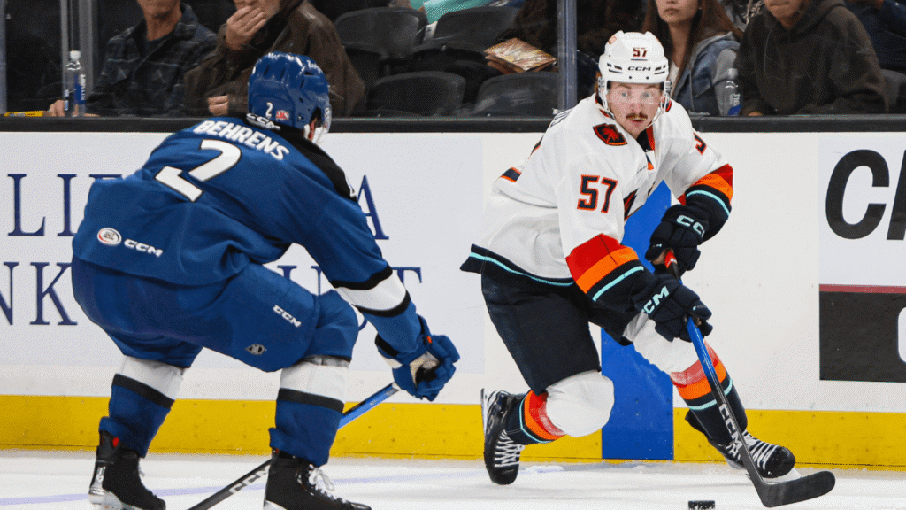 Firkus Firing for ‘Birds in All Zones 