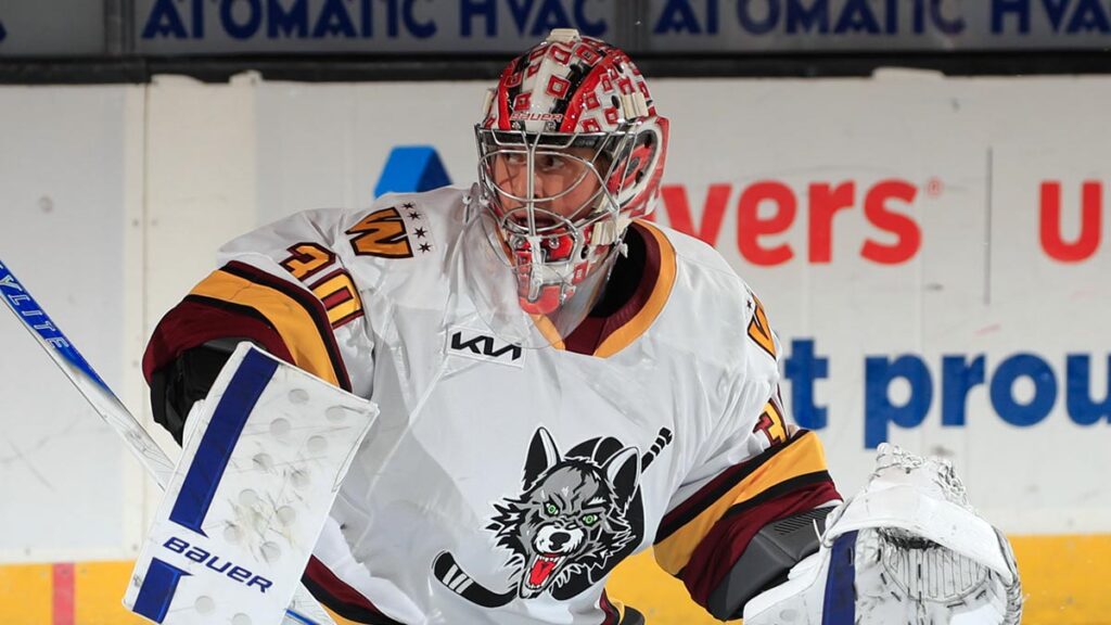 Goaltending reinforcements bring support to AHL clubs