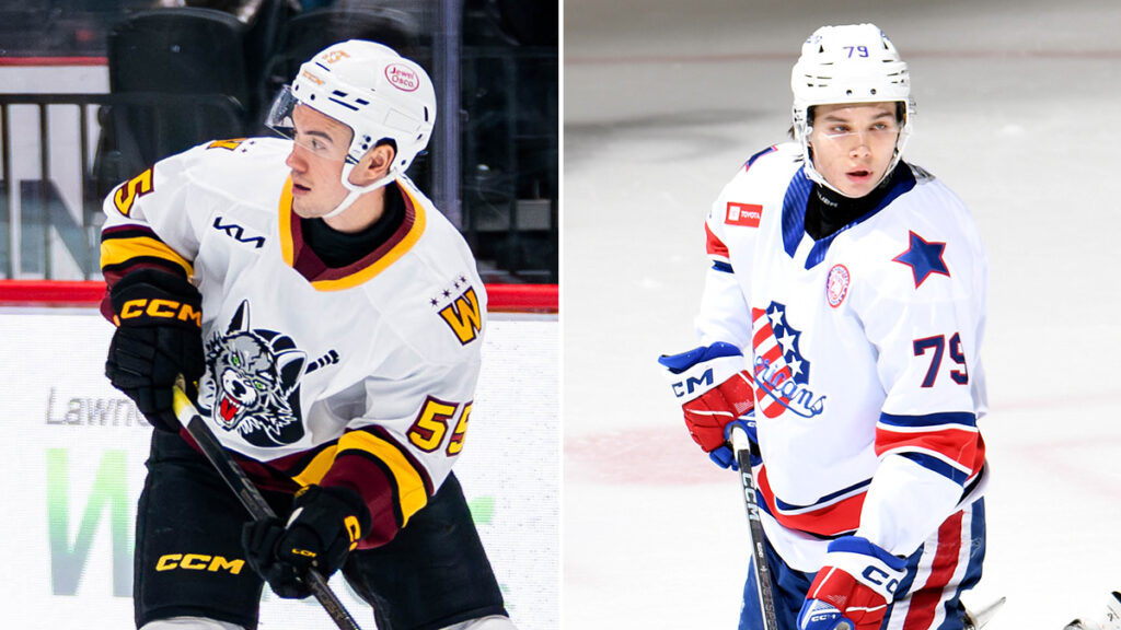 Sabres acquire Bayreuther, send Neuchev to Hurricanes