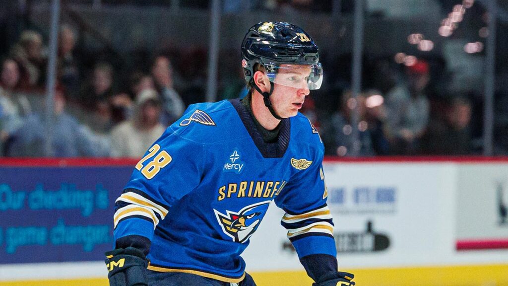 Stenberg brothers sharing NHL dreams