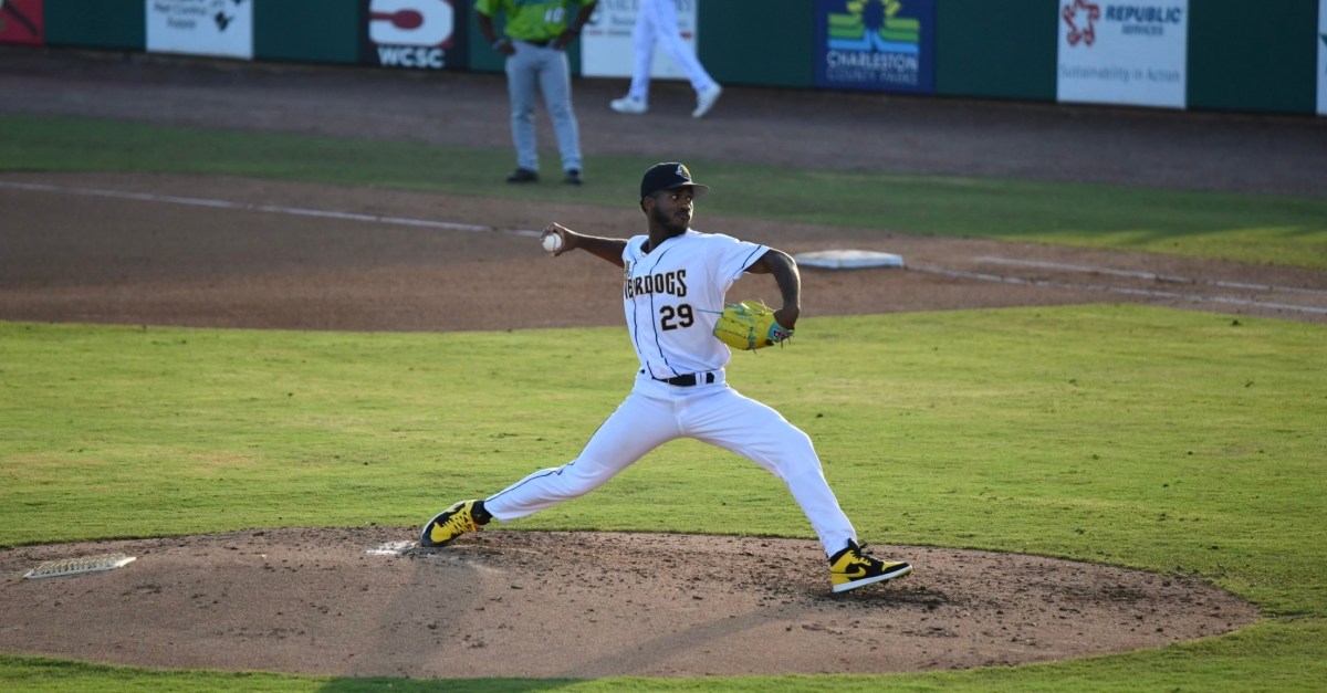 2026 DRaysBay Community Prospect List: Vote for No. 19