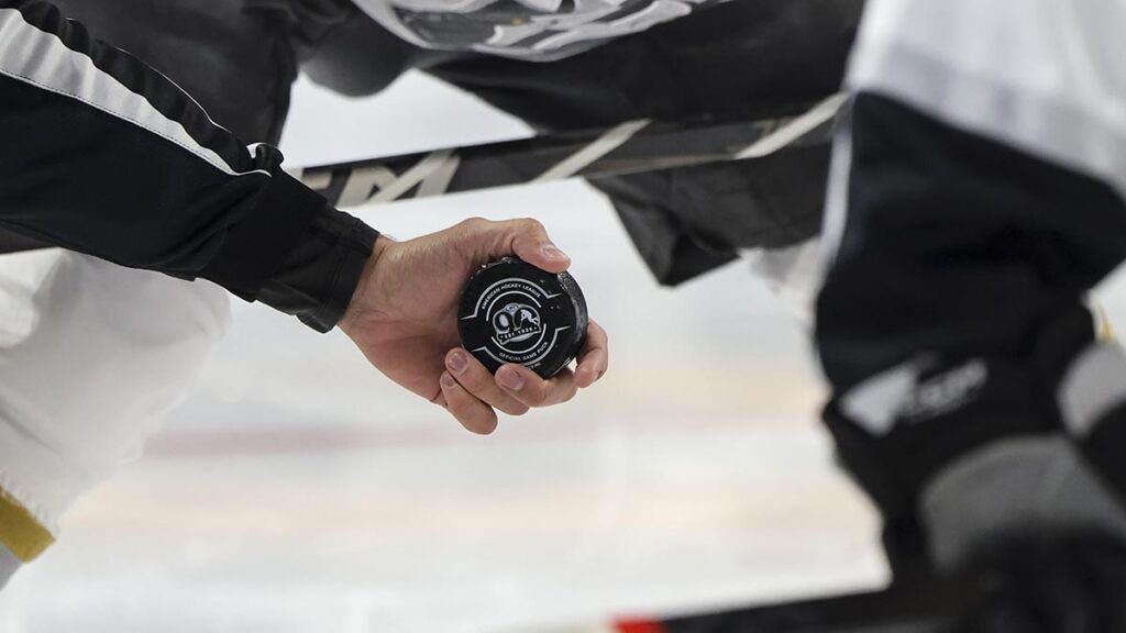 AHL action to air on NHL Network, SiriusXM NHL Network Radio