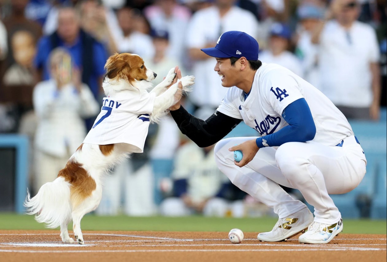 2026 Dynasty Fantasy Baseball Rankings: 25-1