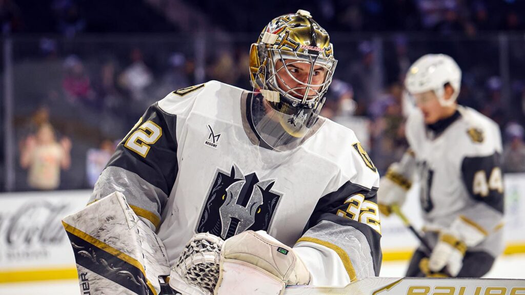 Capitals acquire goaltender Vikman