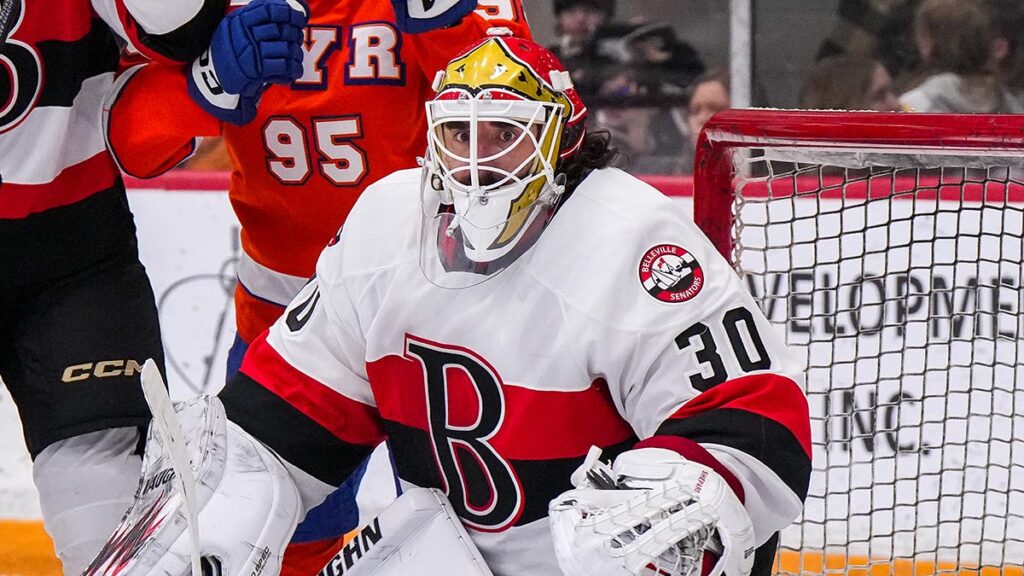 Laval adds two-time Calder Cup winner Shepard