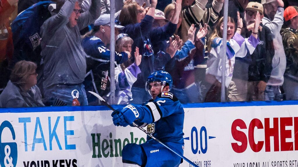 Eagles ground Gulls, advance to division semis